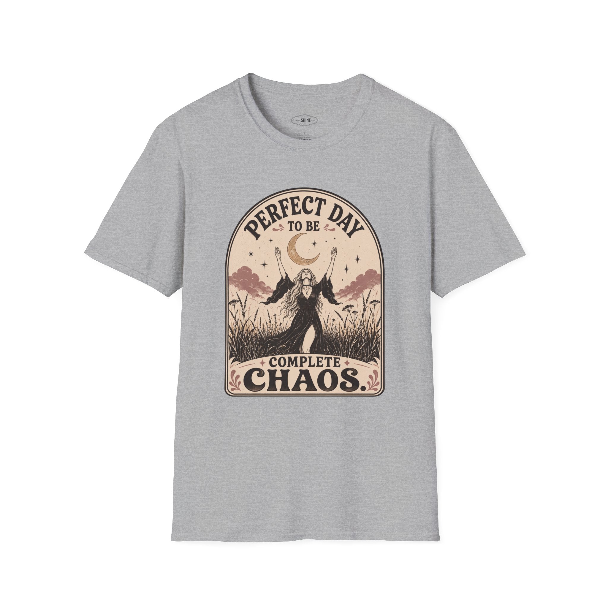 Perfect Day to Be Complete Chaos T-Shirt Vintage Design