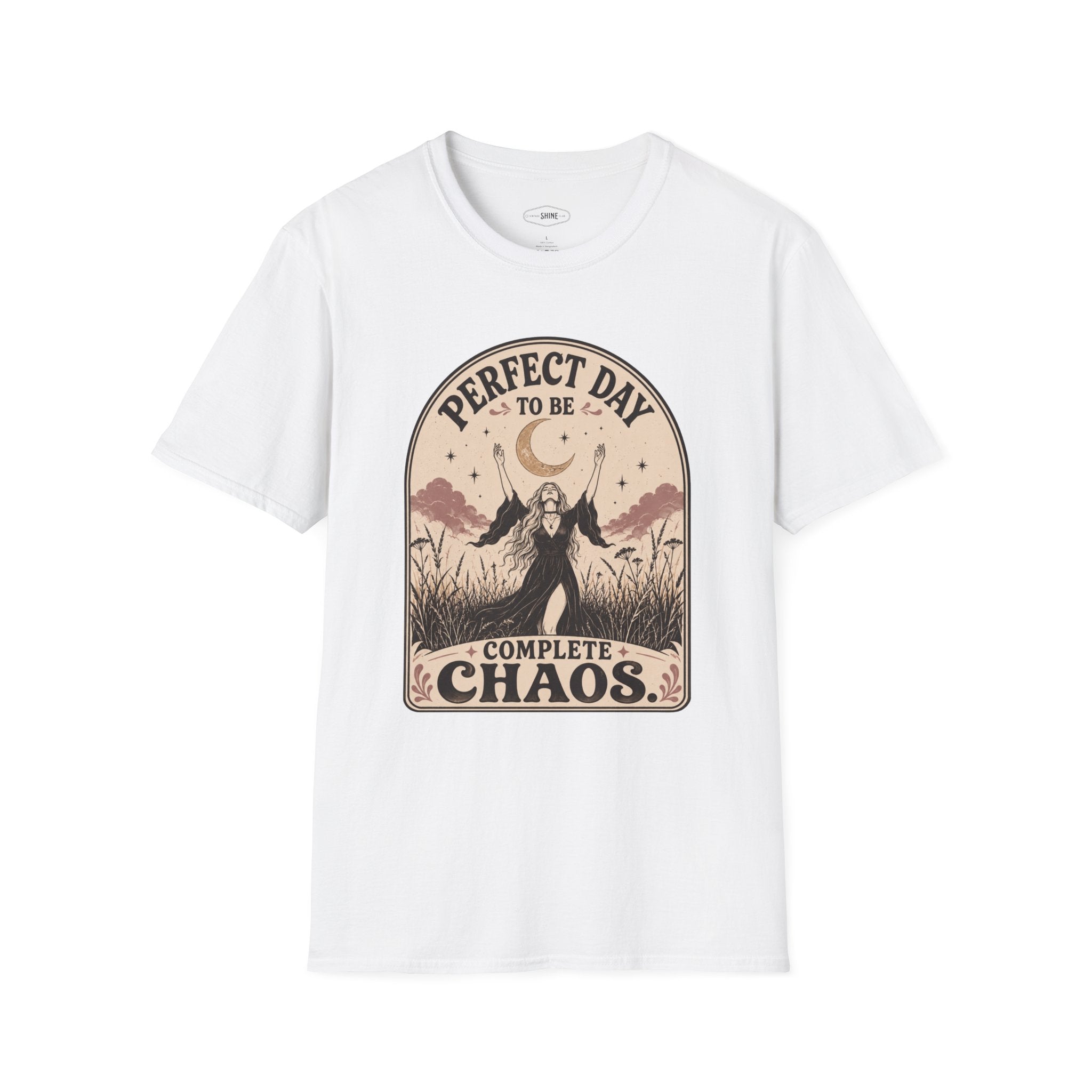 Perfect Day to Be Complete Chaos T-Shirt Vintage Design