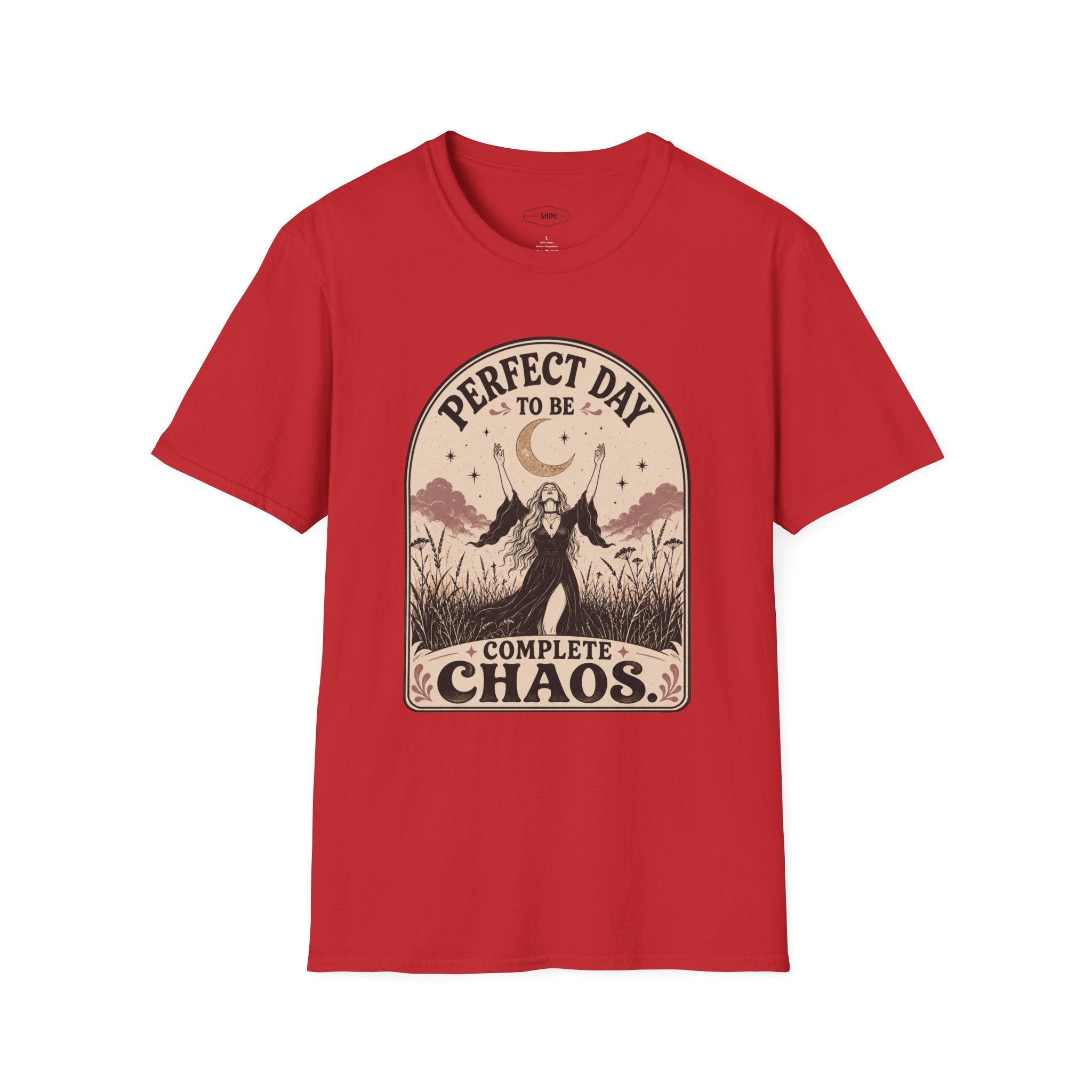 Perfect Day to Be Complete Chaos T-Shirt Vintage Design