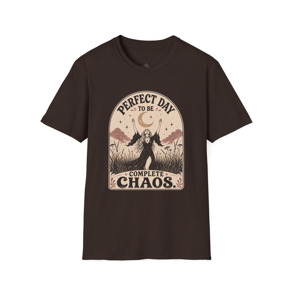 Perfect Day to Be Complete Chaos T-Shirt Vintage Design