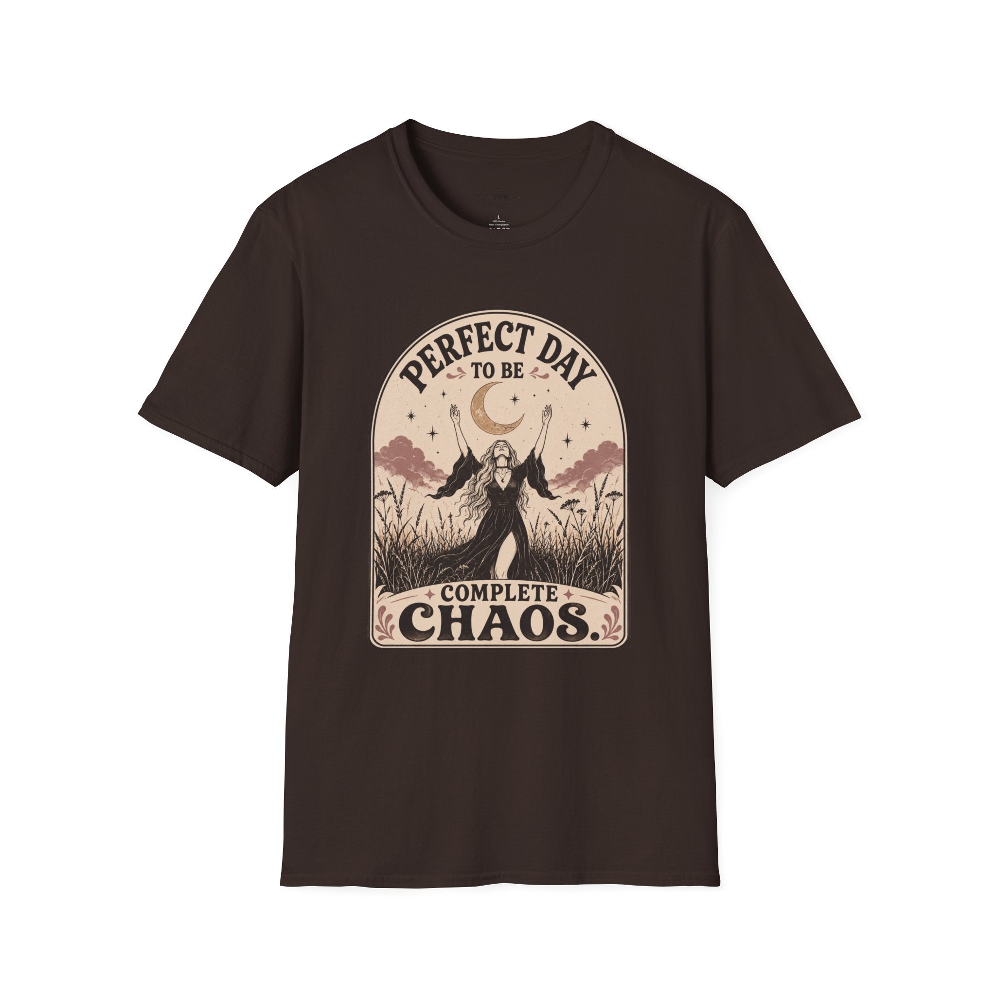 Perfect Day to Be Complete Chaos T-Shirt Vintage Design